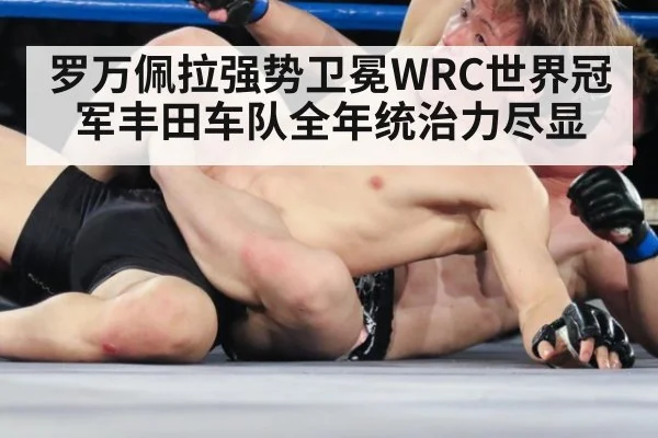 罗万佩拉强势卫冕WRC世界冠军丰田车队全年统治力尽显