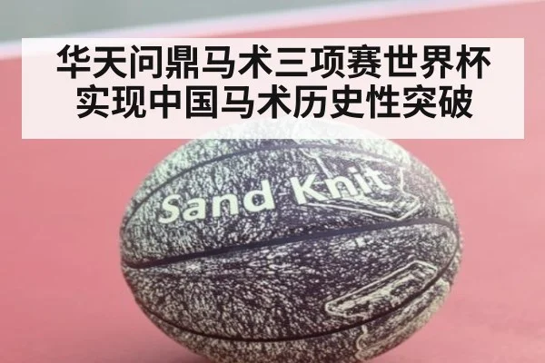 华天问鼎马术三项赛世界杯实现中国马术历史性突破
